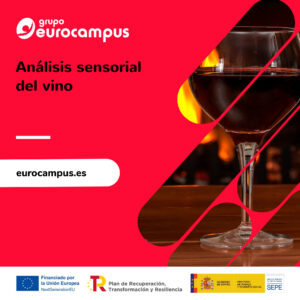 análisis sensorial de vinos